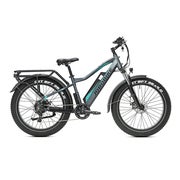 JOBOBIKE Robin Elektrofahrrad für Erwachsene 48V 13Ah,grau 1 St