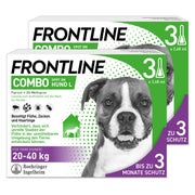 FRONTLINE COMBO Hund L 20-40 kg 2X3 St