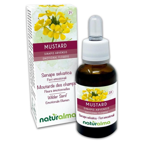 Naturalma Wilder Senf Sinapis arvensis Tropfen 30 ml