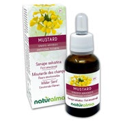 Naturalma Wilder Senf Sinapis arvensis Tropfen 30 ml