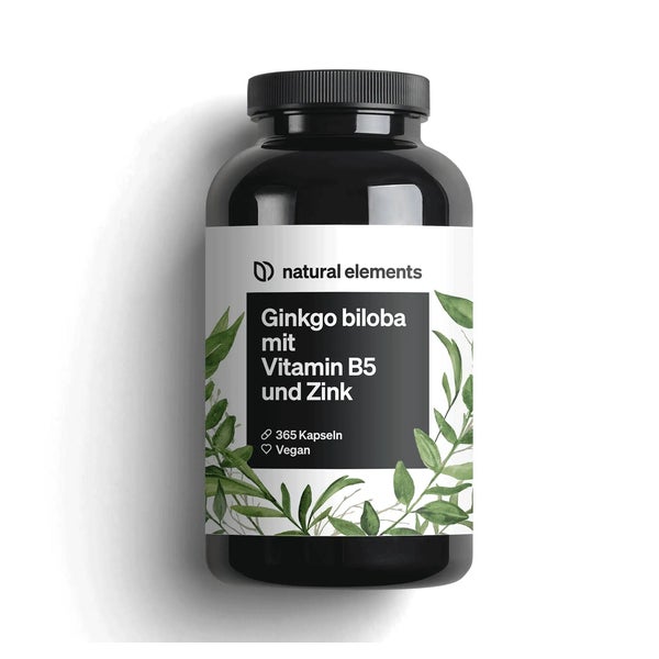 Ginkgo biloba – optimal dosiert mit 3750mg pro Kapsel (50:1 Extrakt) – 365 Kapseln – mit Vitamin B5 & Zink – vegan, ohne unnötige Zusätze – in Deutschland produziert & laborgeprüft 365 St