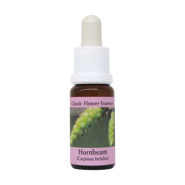 PHI Essences – Hornbeam Bachblüte Nr. 17 – 1 St