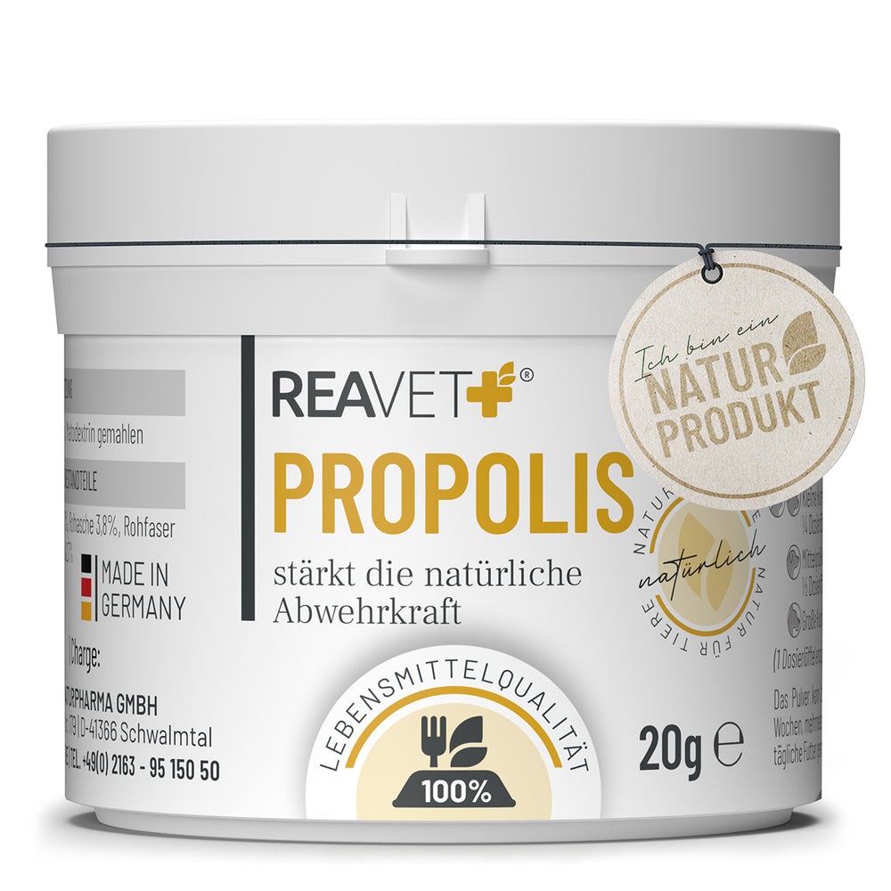 Propolis Extrakt 20 g