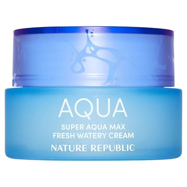 NATURE REPUBLIC Super Aqua Max Fresh Watery 80 g
