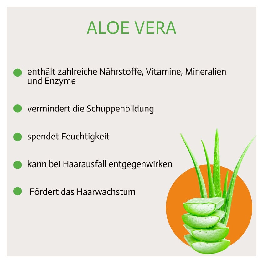 Haarseife Aloe Vera online kaufen | DocMorris