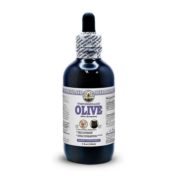 Olive Alkoholfrei Flüssigextrakt 1 St