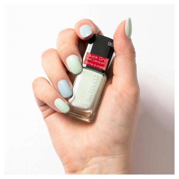 Quick Dry Nail Lacquer