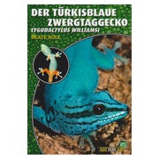 Der Türkisblaue Zwerggecko