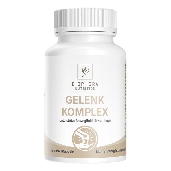 BIOPHORA GELENK Komplex | mit Chondroitin | HOCHDOSIERT 60 St