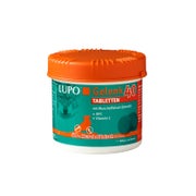 Luposan Gelenk 40 Tabletten 400 g