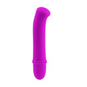 Pretty Love - Flirtation Antony Vibrator 1 St