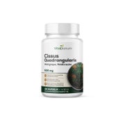 VitaSanum®- Cissus Quadrangularis (Veldtraube) 500 mg 100 St