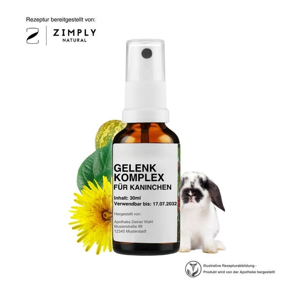 ZIMPLY NATURAL für Kaninchen, Gelenkentzündungen Fläschchen ml