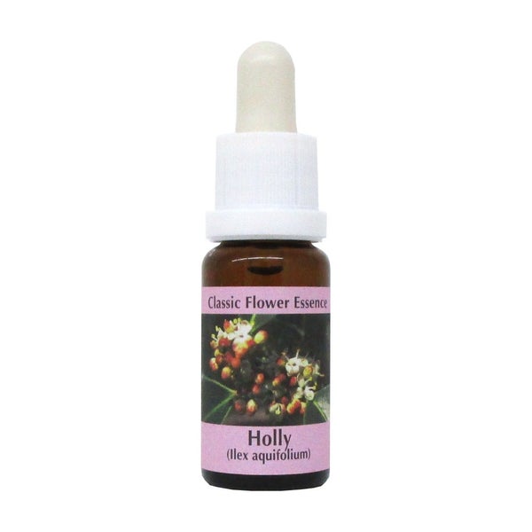 PHI Essences – Holly Bachblüte Nr. 15 – 1 St
