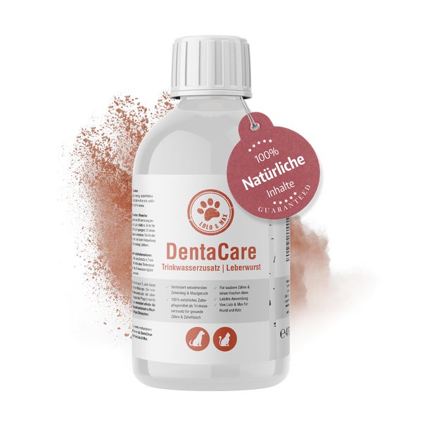 DentalCare - Trinkwasserzusatz - Leberwurst - 470ml 470 ml