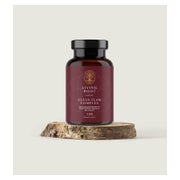 Clean Flam Complex 120 St