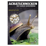 Achatschnecken