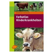 Farbatlas Rinderkrankheiten