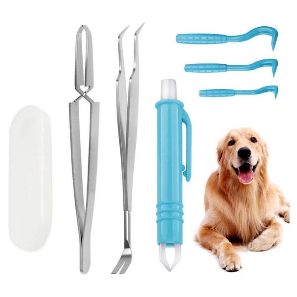 Zeckenentferner Set 6tlg Edelstahl Plastik 3 Größen Mensch H 1 St