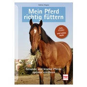 Mein Pferd richtig füttern