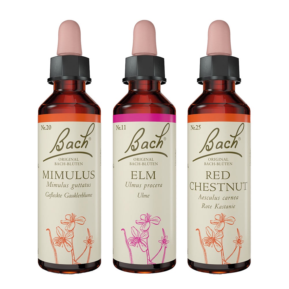 Bachblüten-Set "Du schaffst das" 60 ml