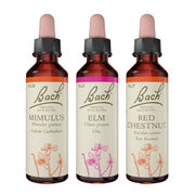 Bachblüten-Set "Du schaffst das" 60 ml