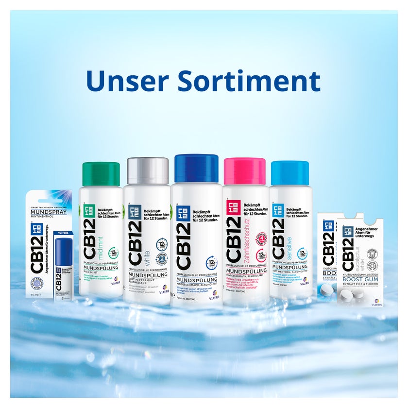 Cb12 Mundspülung Zahnfleischschutz 250 ml