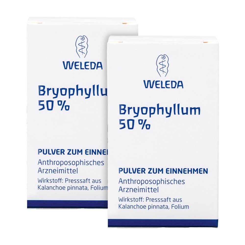 Doppelpack Bryophyllum 50% Pulver 2X50 g