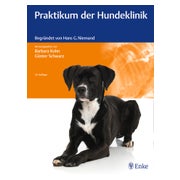 Praktikum der Hundeklinik 1 St