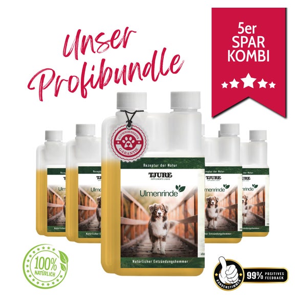 TJURE - Ulmenrinde Liquid -5x 500 ml |Naturkraft für ein gutes Bauchgefühl 2500,00 ml