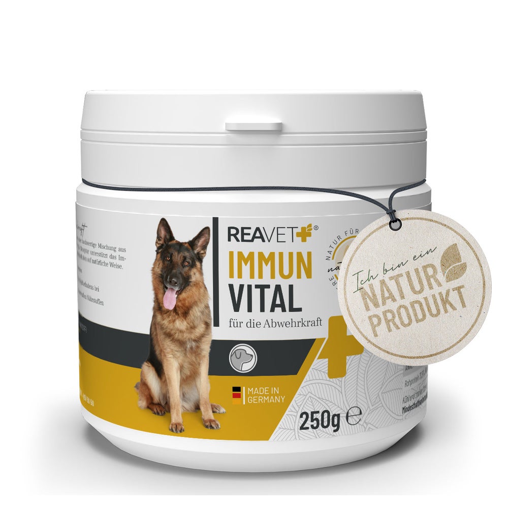Immun Vital 250 g
