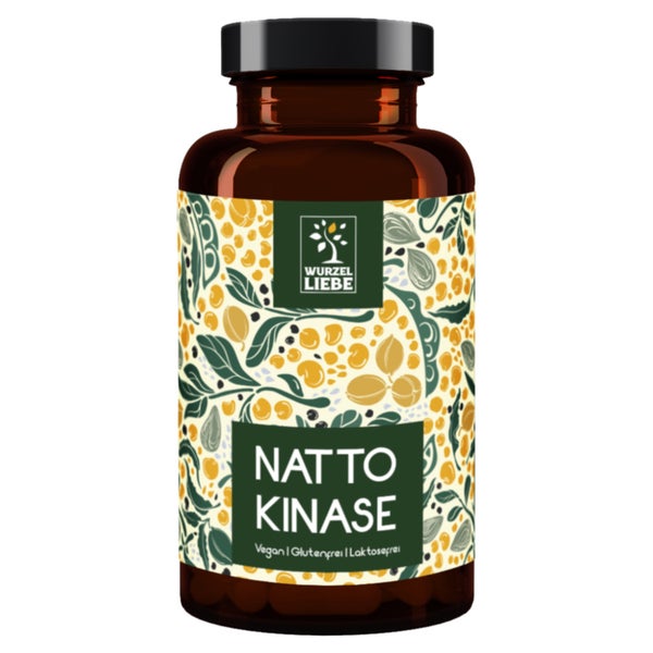 Nattokinase 100mg & 20.000 FU/g hochdosiert 240 St