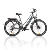 HedaTX TX10 Elektro-Citybike mit 48V 19,2Ah Akku,grau 1 St