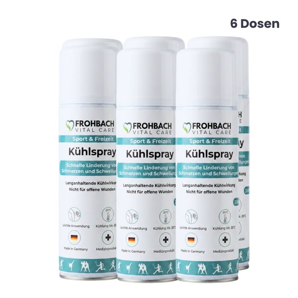Frohbach Kühlspray 300 ml transparent, 6 Stück 1800 ml