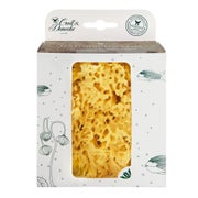 Croll & Denecke Naturschwamm Badeschwamm dem Mittelmeer 12 × 5,5 × 16,5 cm 1 St