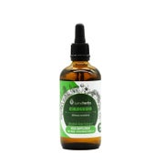 Schlafbeere (Ashwagandha) alkoholfreier Extrakt 1:1 (100ml) 100 ml