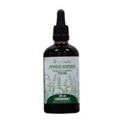 Produktabbildung: Japanischer Staudenknöterich 1:2 (100ml) 100 ml