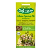 Rapunzel - bioSnacky Wellness-Mischung 40 g