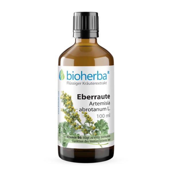 Bioherba Eberraute Artemisia abrotanum L. Tropfen Tinktur 100 ml